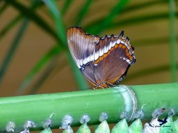 Tiergarten Schönbrunn am 03.10.2025